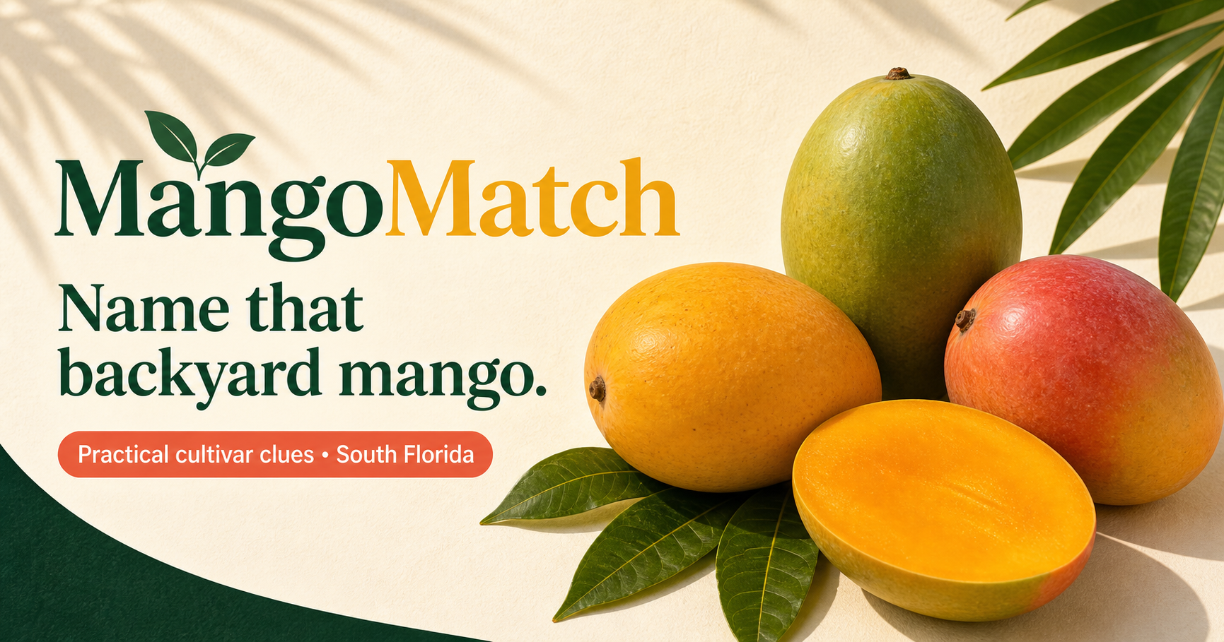 Anwar Ratol mango reference