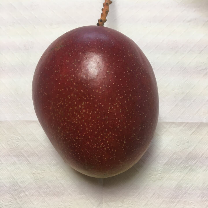 Ah Ping mango reference