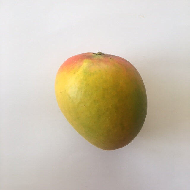 Alphonso mango reference