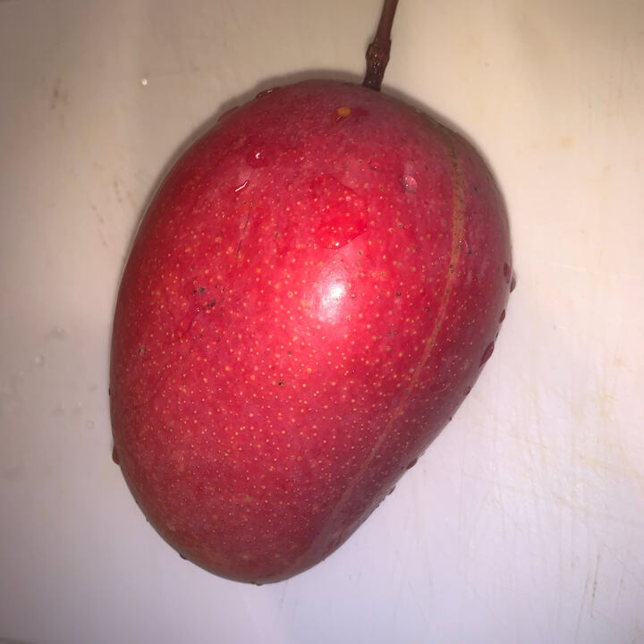 Ambika mango reference