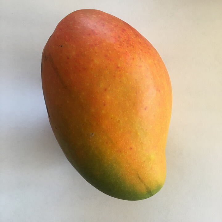 Angie mango reference