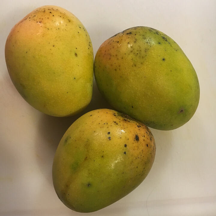 Apricot mango reference