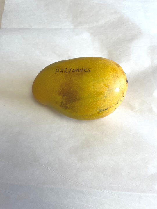 Aromanis mango reference