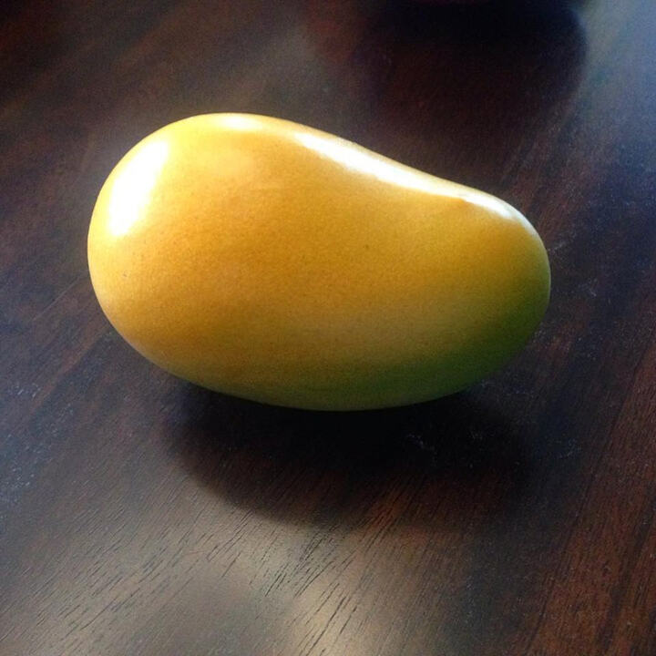 Ataulfo mango reference