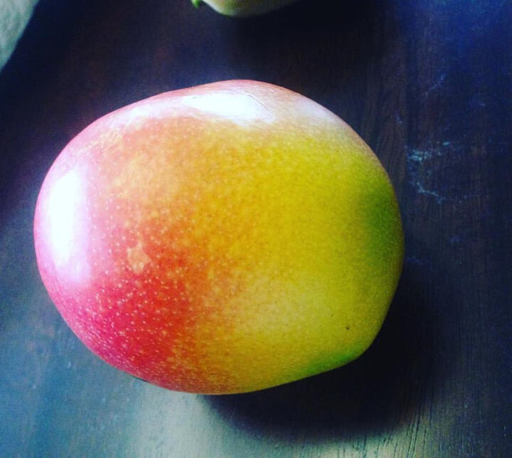 Bailey's Marvel mango reference