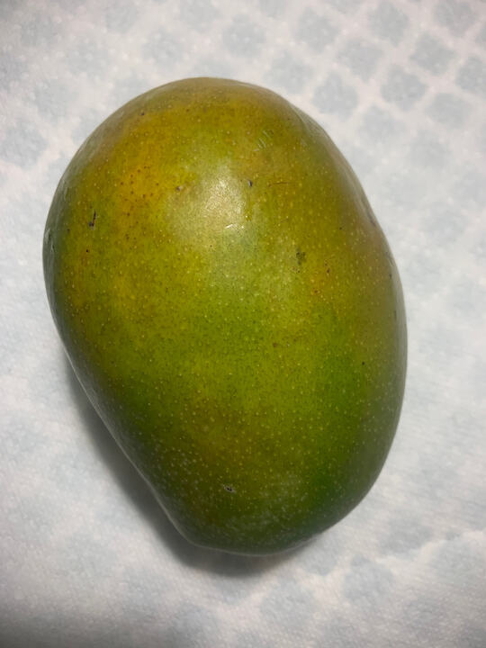 Beatrice mango reference