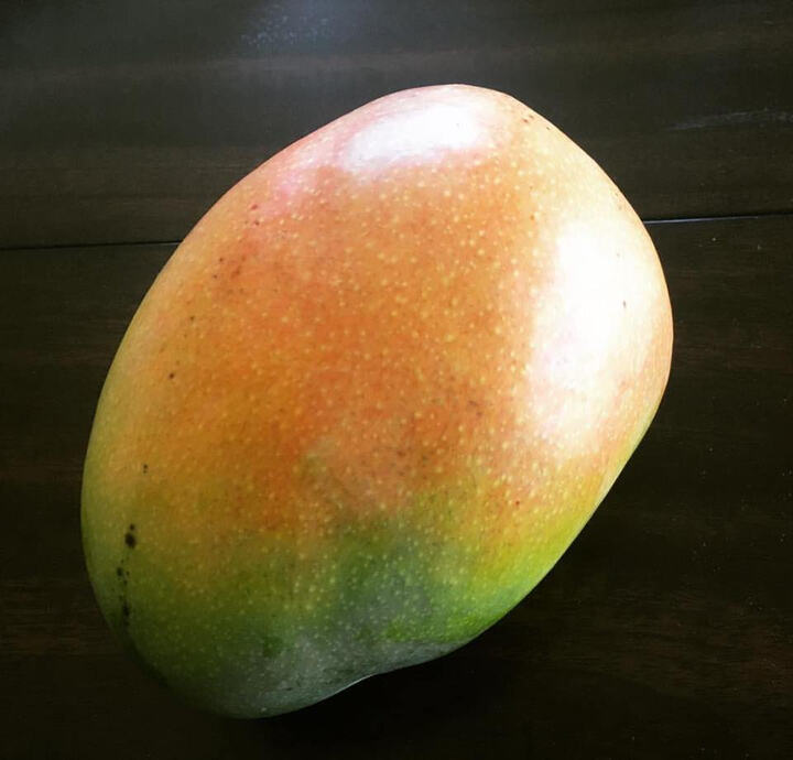 Beverly mango reference