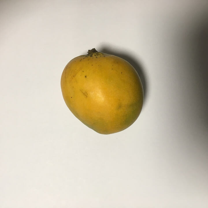 Bizcochuelo mango reference