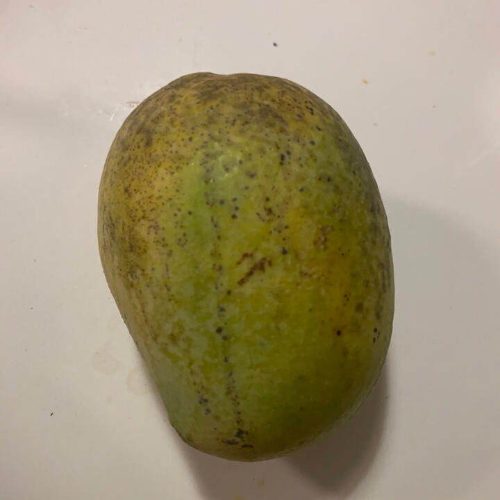 Bullocks Heart mango reference