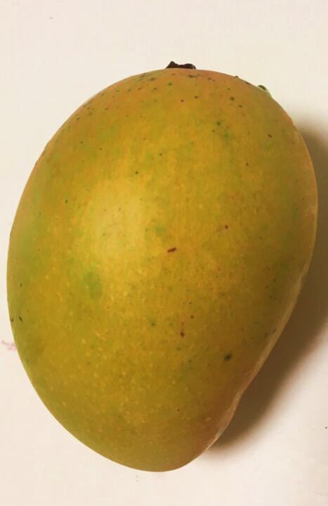 Cambodiana mango reference