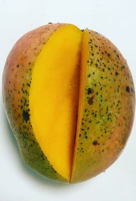 Chino mango reference