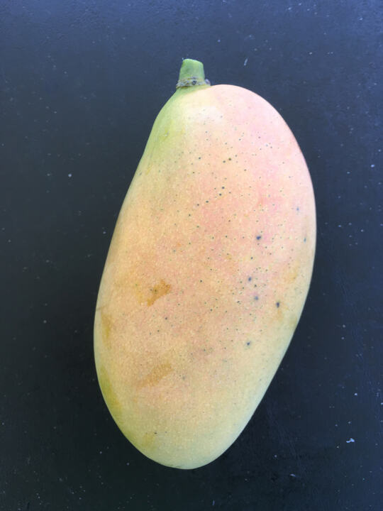 Corne mango reference