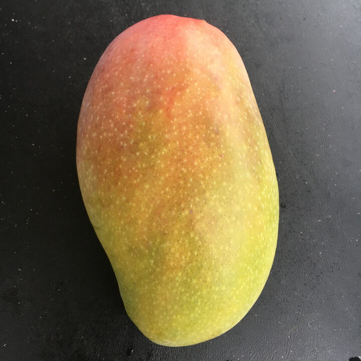 D. Burd mango reference