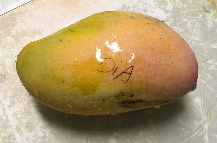 Diamond (HW-14) mango reference