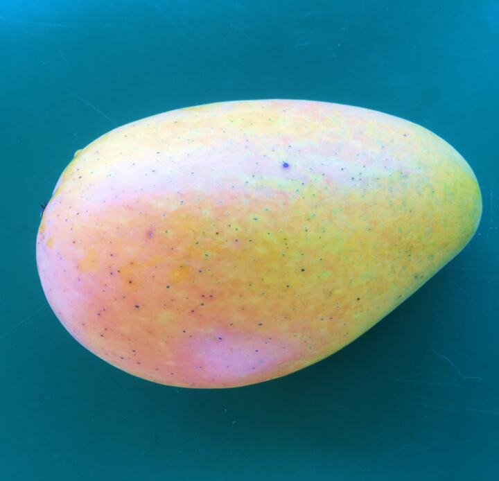 Dupuis Saigon mango reference