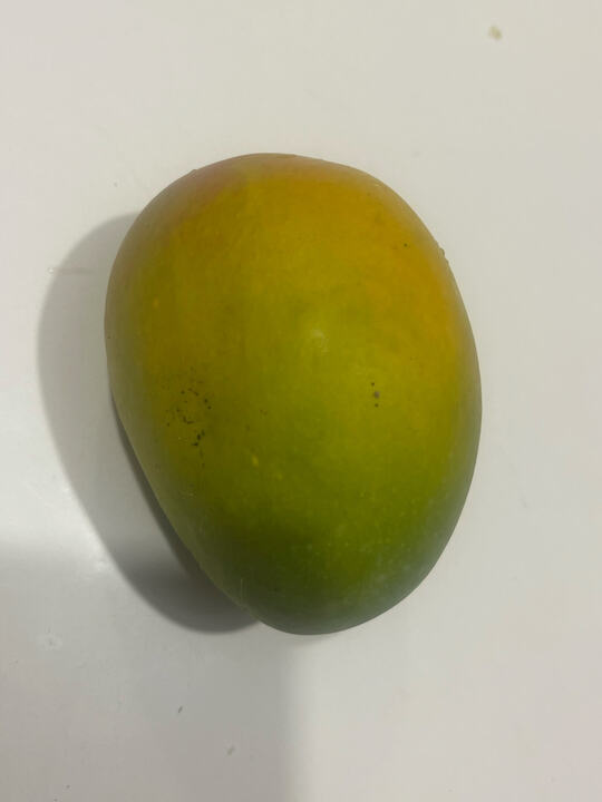Fernandin mango reference