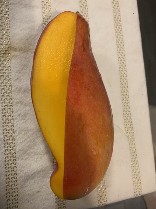 Fiji Long mango reference