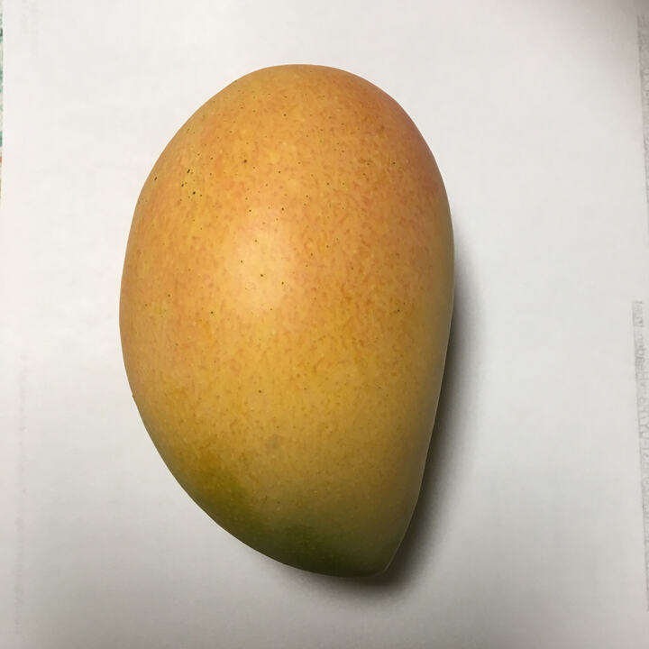 Frances Hargrave mango reference