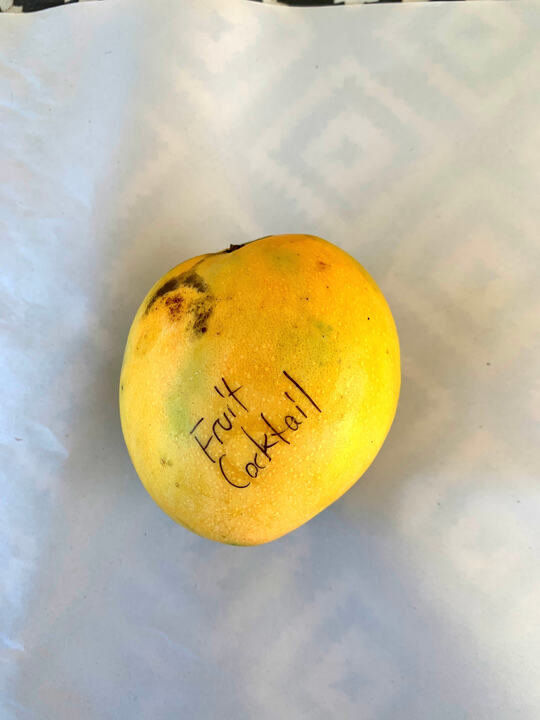 Fruit Cocktail/Zill 28-18 mango reference