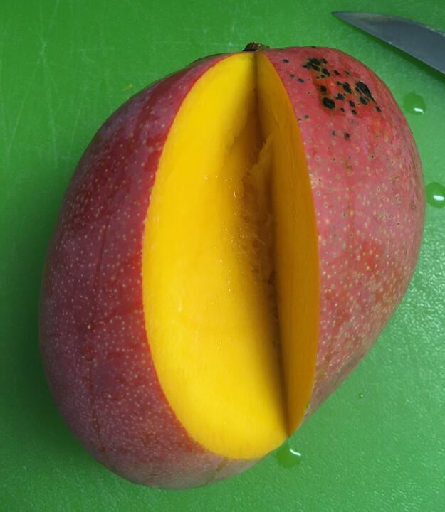 Fruit Punch mango reference