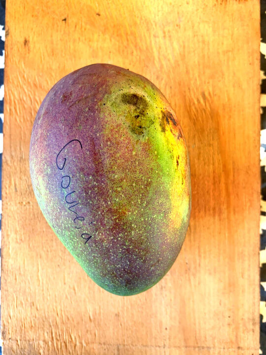 Gouveia mango reference
