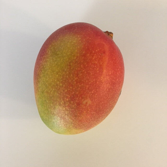 Haden mango reference