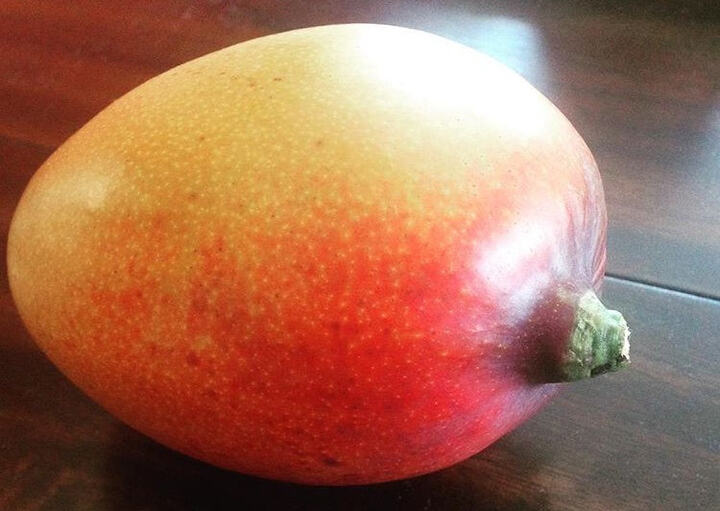 Hatcher mango reference