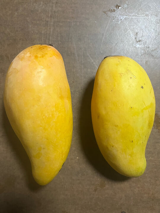 Hong Sa mango reference