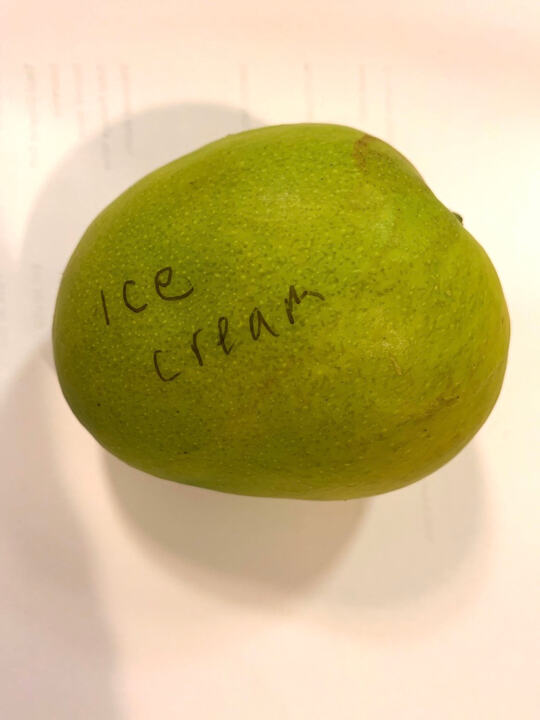 Ice Cream mango reference