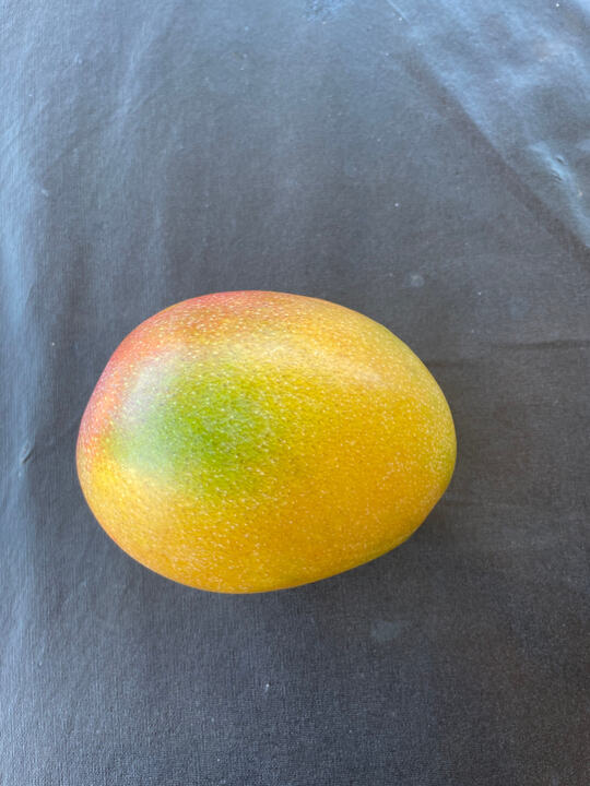Jamadar mango reference
