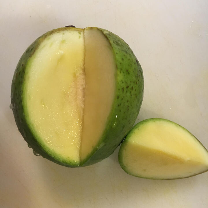 Jehangir mango reference