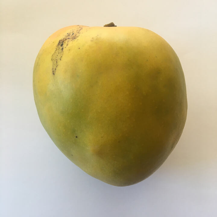 Juicy Peach mango reference