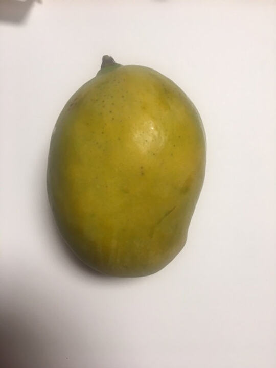 Julie mango reference
