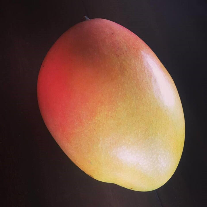 Keitt mango reference