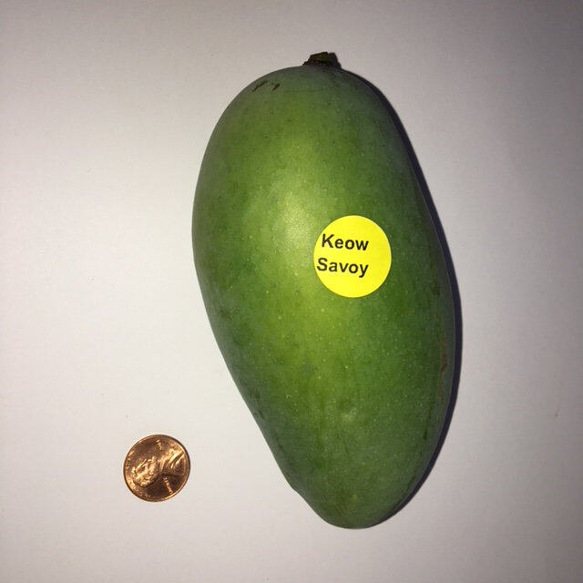 Keo Savoy mango reference