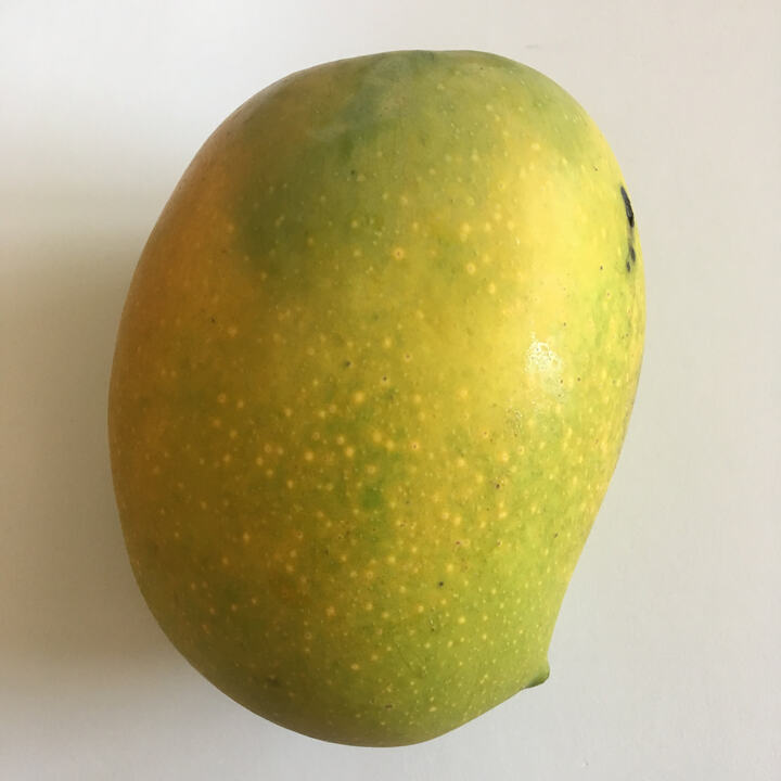 Kesar mango reference
