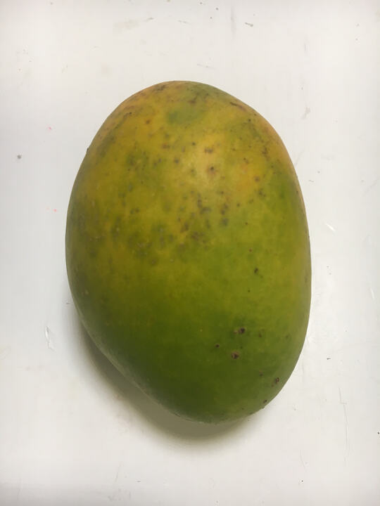 Lady's Choice mango reference
