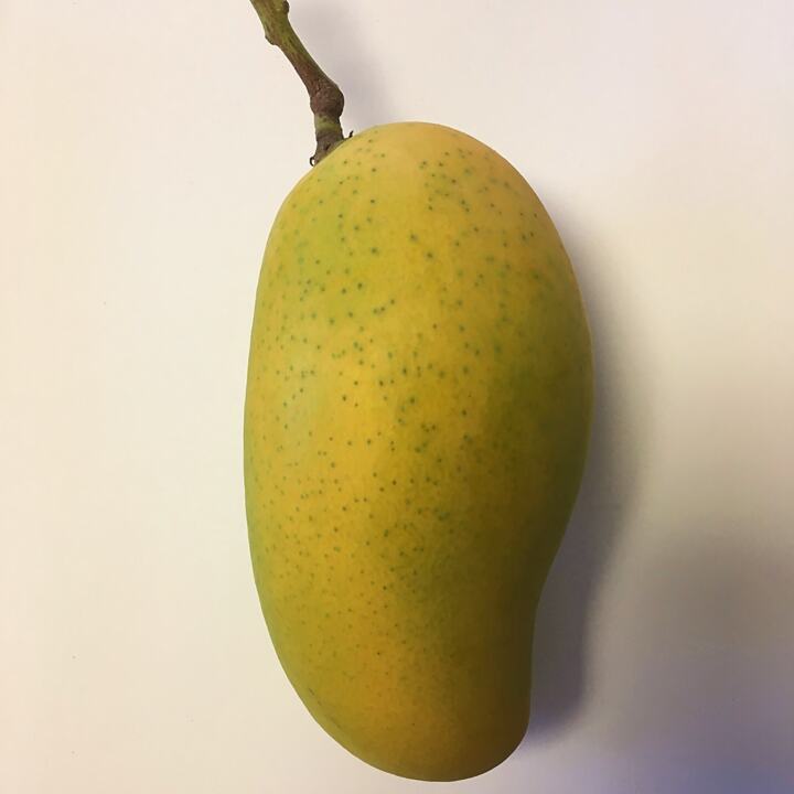 Lemon Meringue mango reference