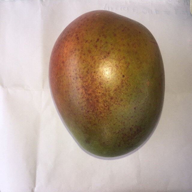 Lippens mango reference