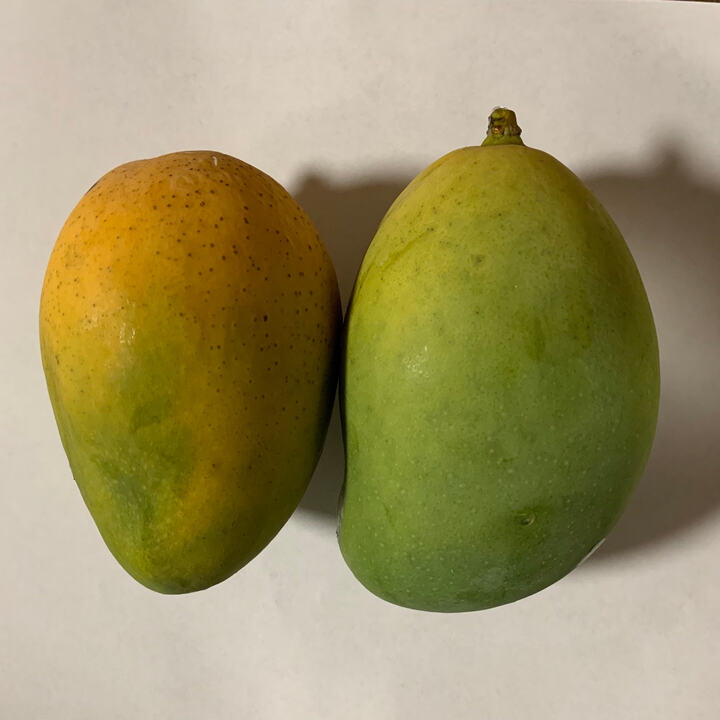 Madame Blanc mango reference