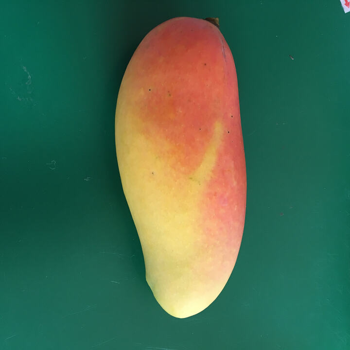 Maha Chanok mango reference