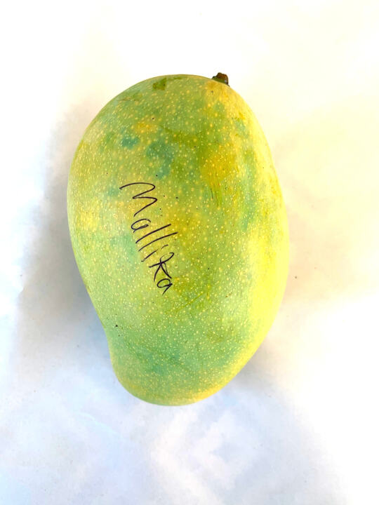 Mallika mango reference