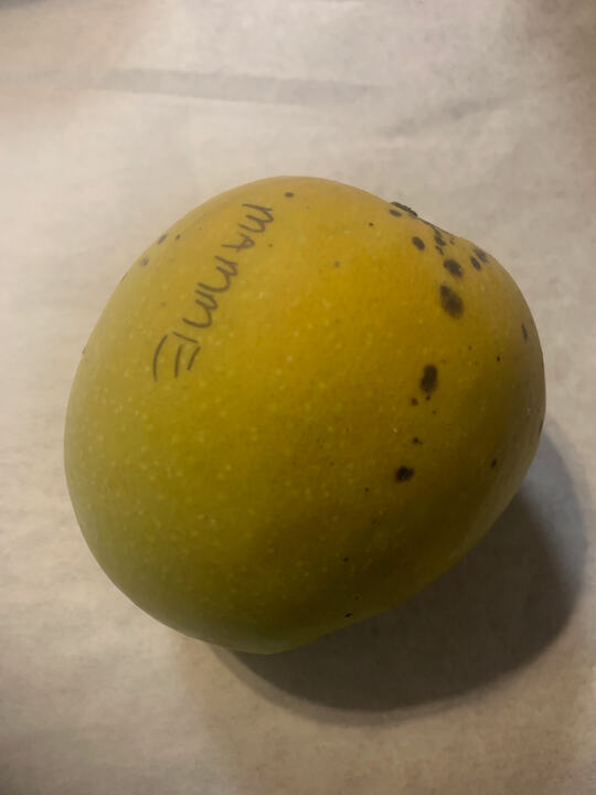 Mamme mango reference