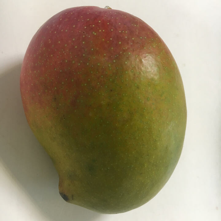 Mapulehu mango reference