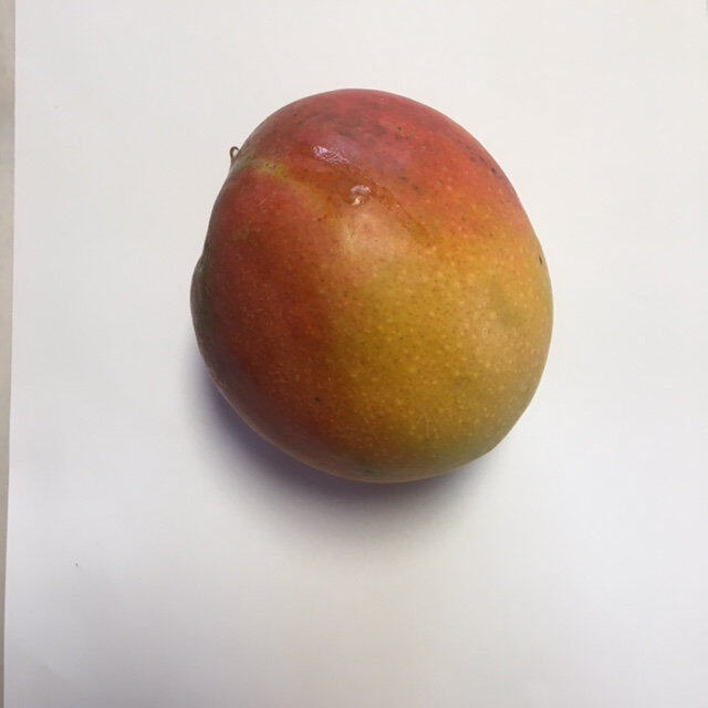 Maya mango reference