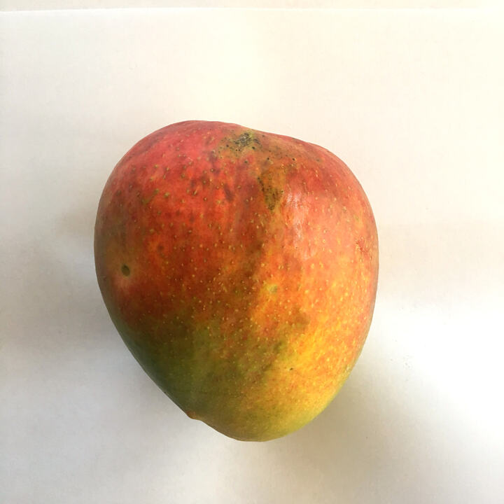 Mulgoba mango reference