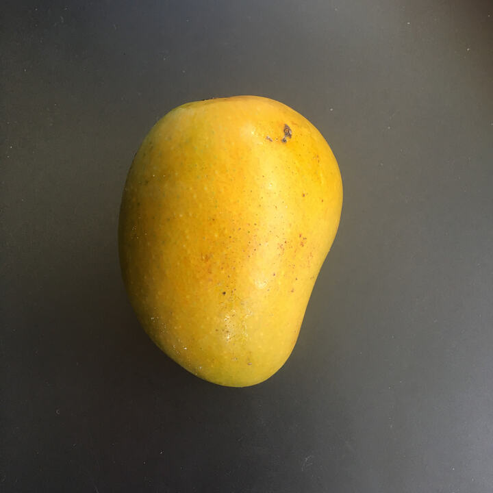 Myatrynat mango reference