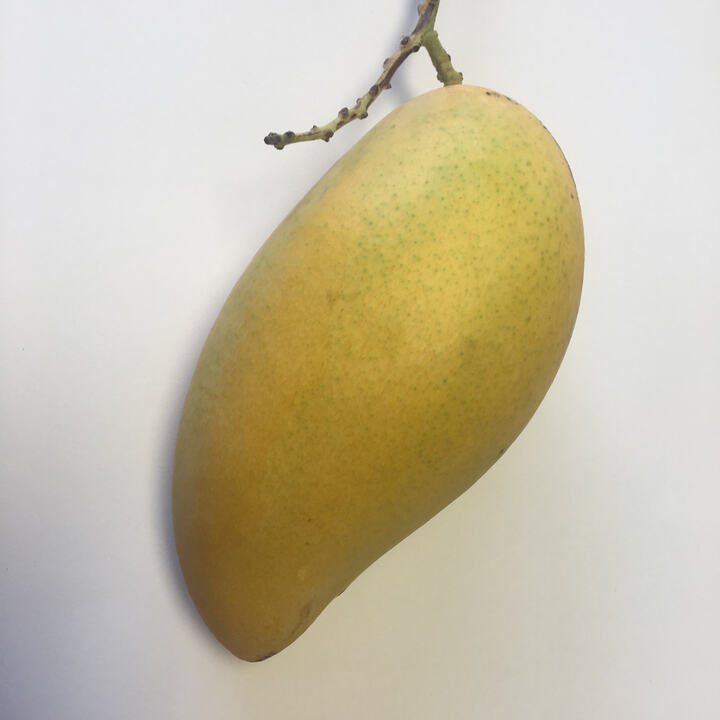 Nam Doc Mai Sia Tong mango reference