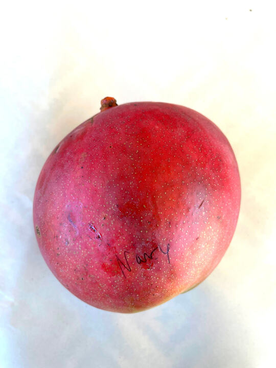 Nancy mango reference
