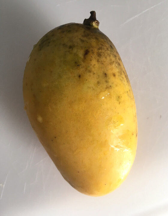 Orange Sherbet mango reference